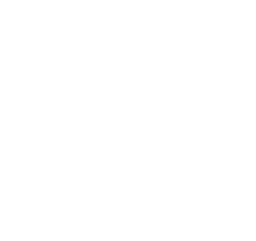 TWICE EU
